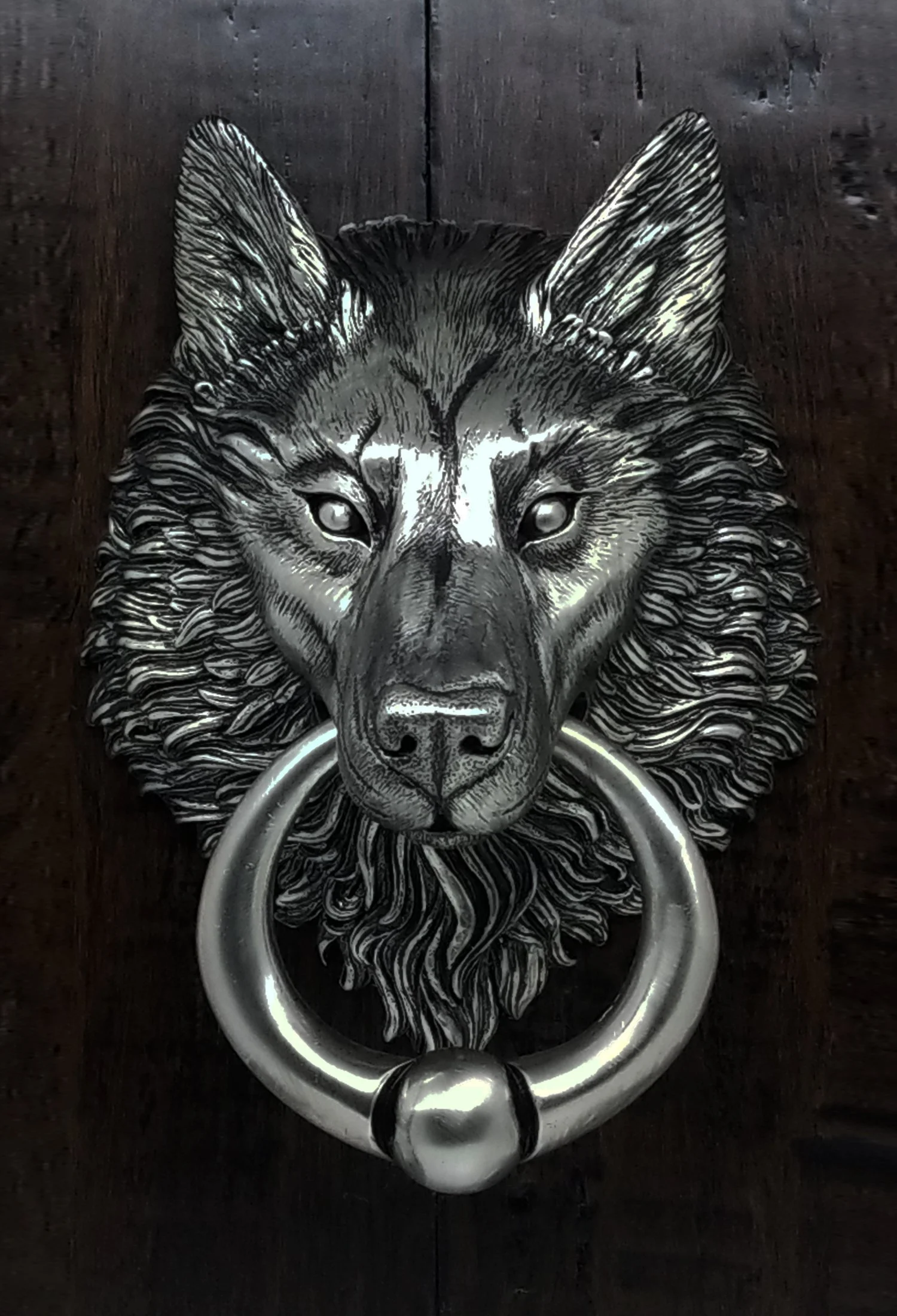 Satin+Nickel+Wolf+Medium+1.jpg